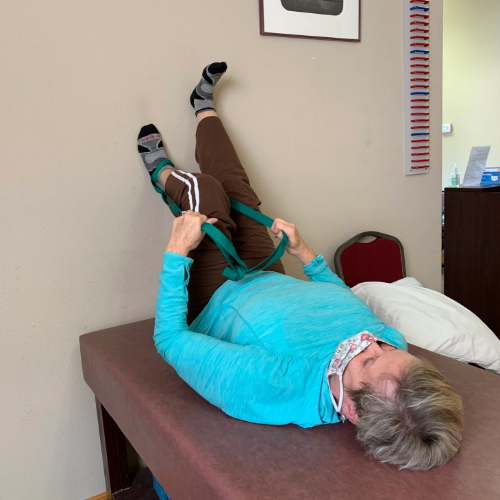 physical-therapy-clinic-physical-therapy-plumas-pt-blairsden-quincy-ca – 500x500